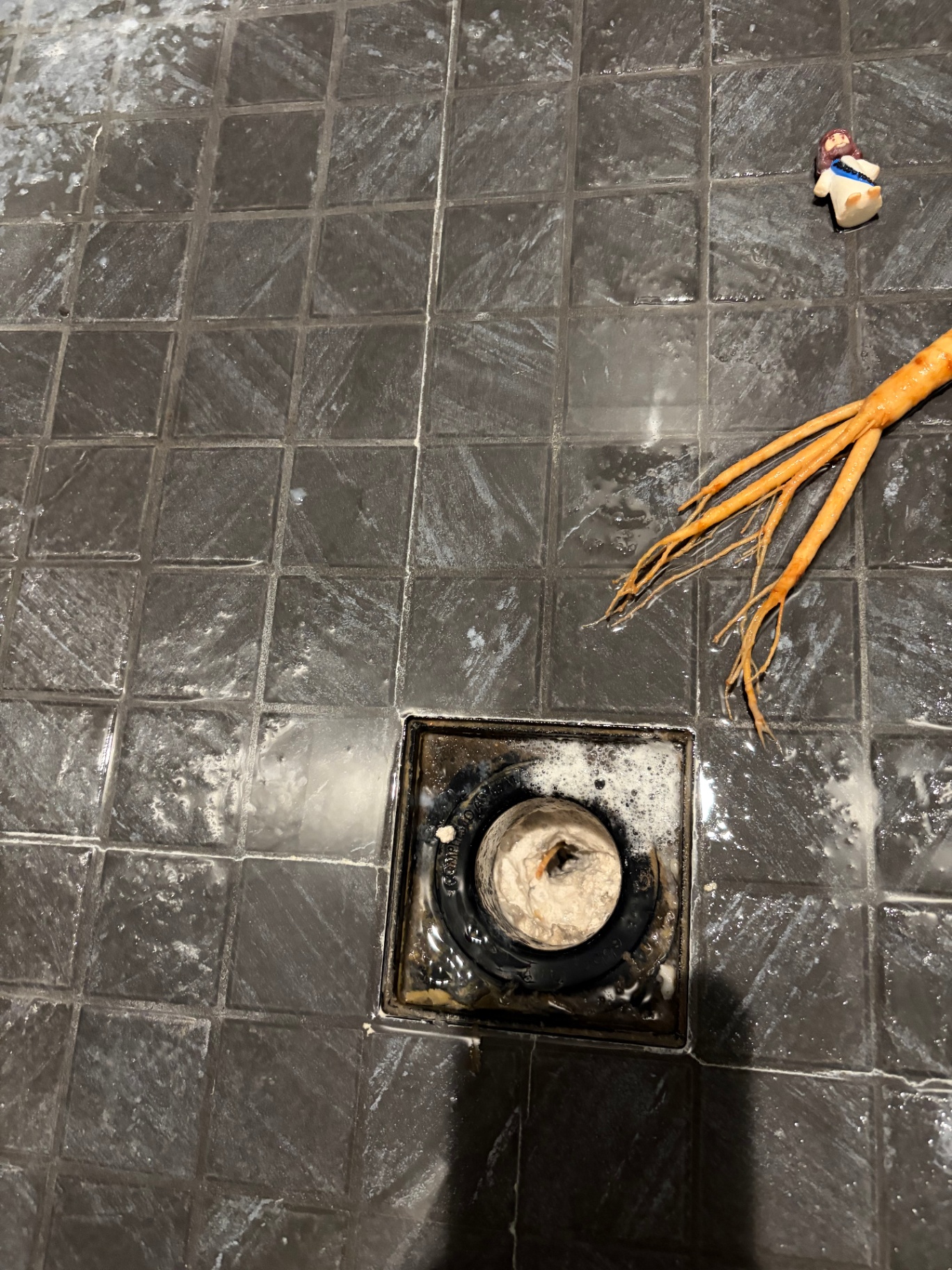 Drain snake pulling roots from line