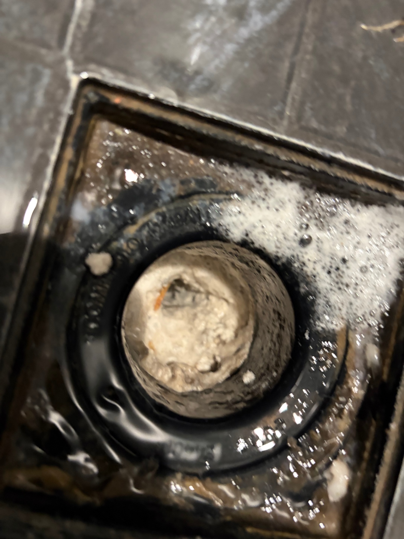 Root intrusion cleared from drain pipe